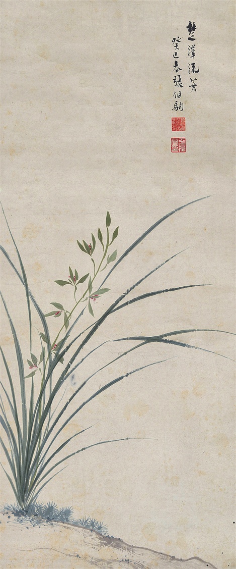 楚泽流芳