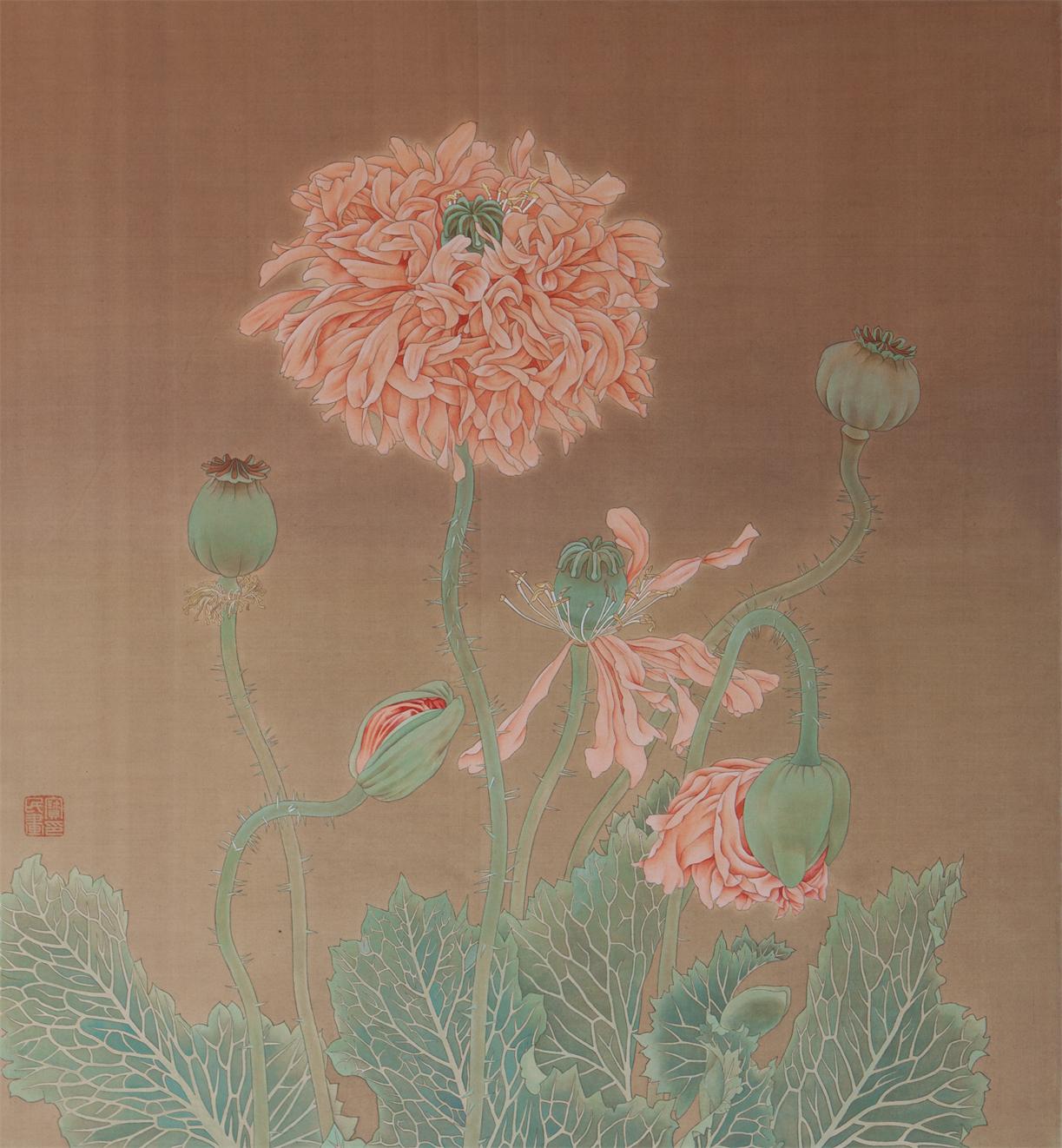 罂粟花
