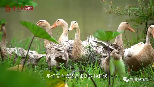 QQ截图20170803135236.png