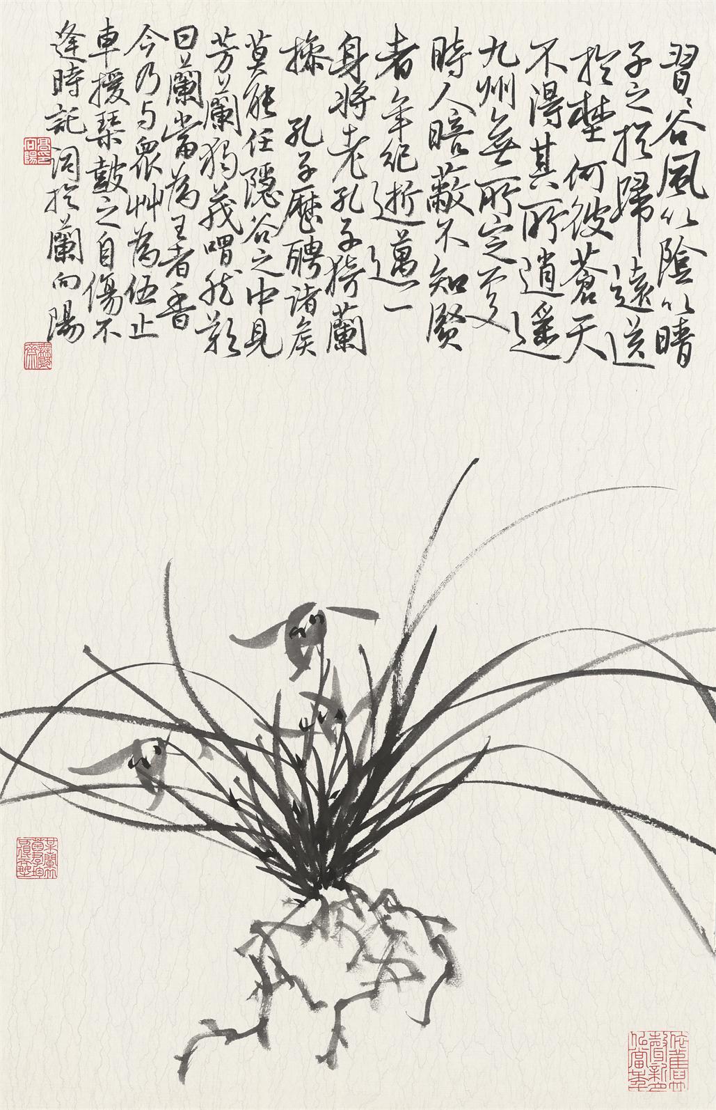 兰