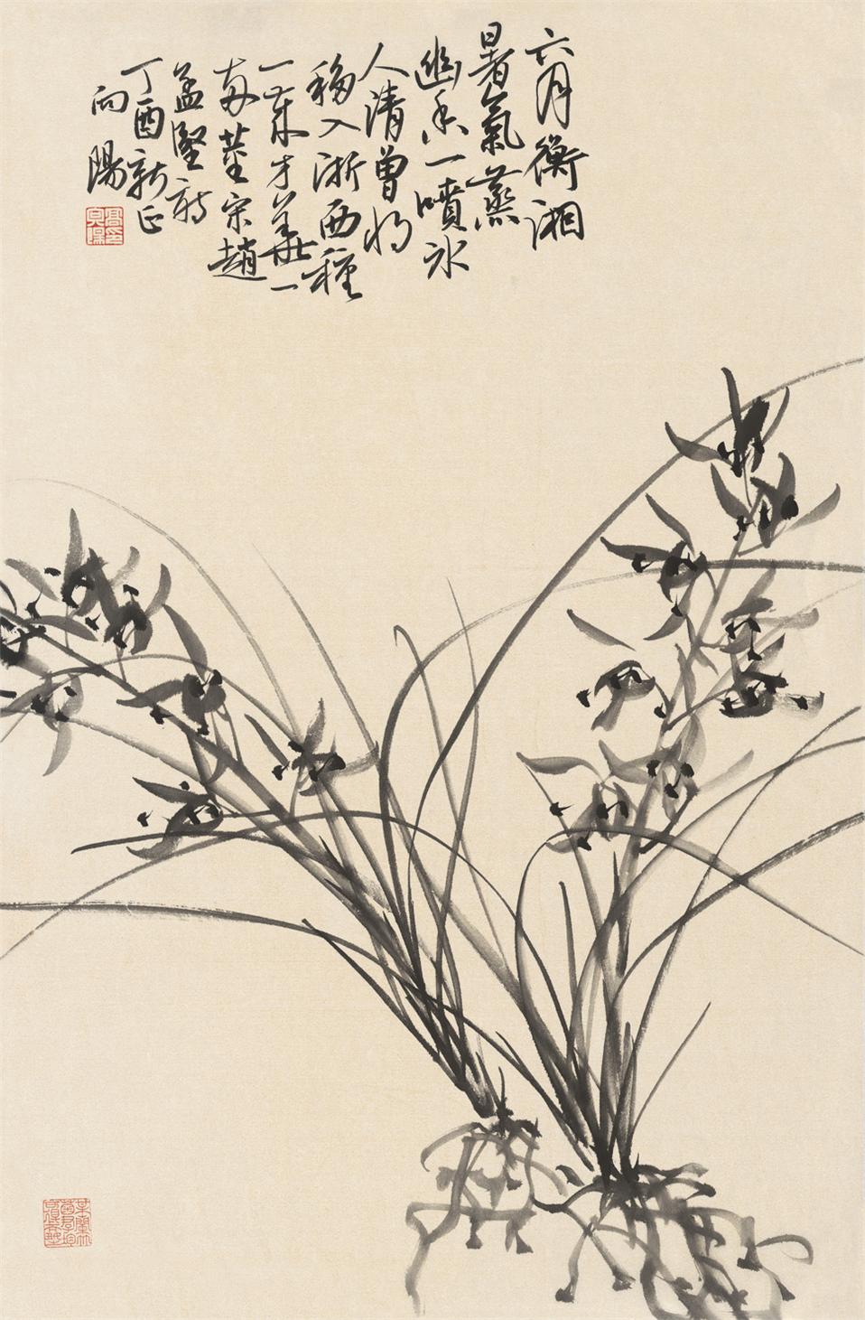 蕙